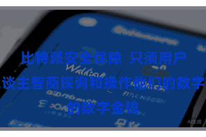 比特派安全保障  只须用户本东谈主智商探询和操作他们的数字金钱