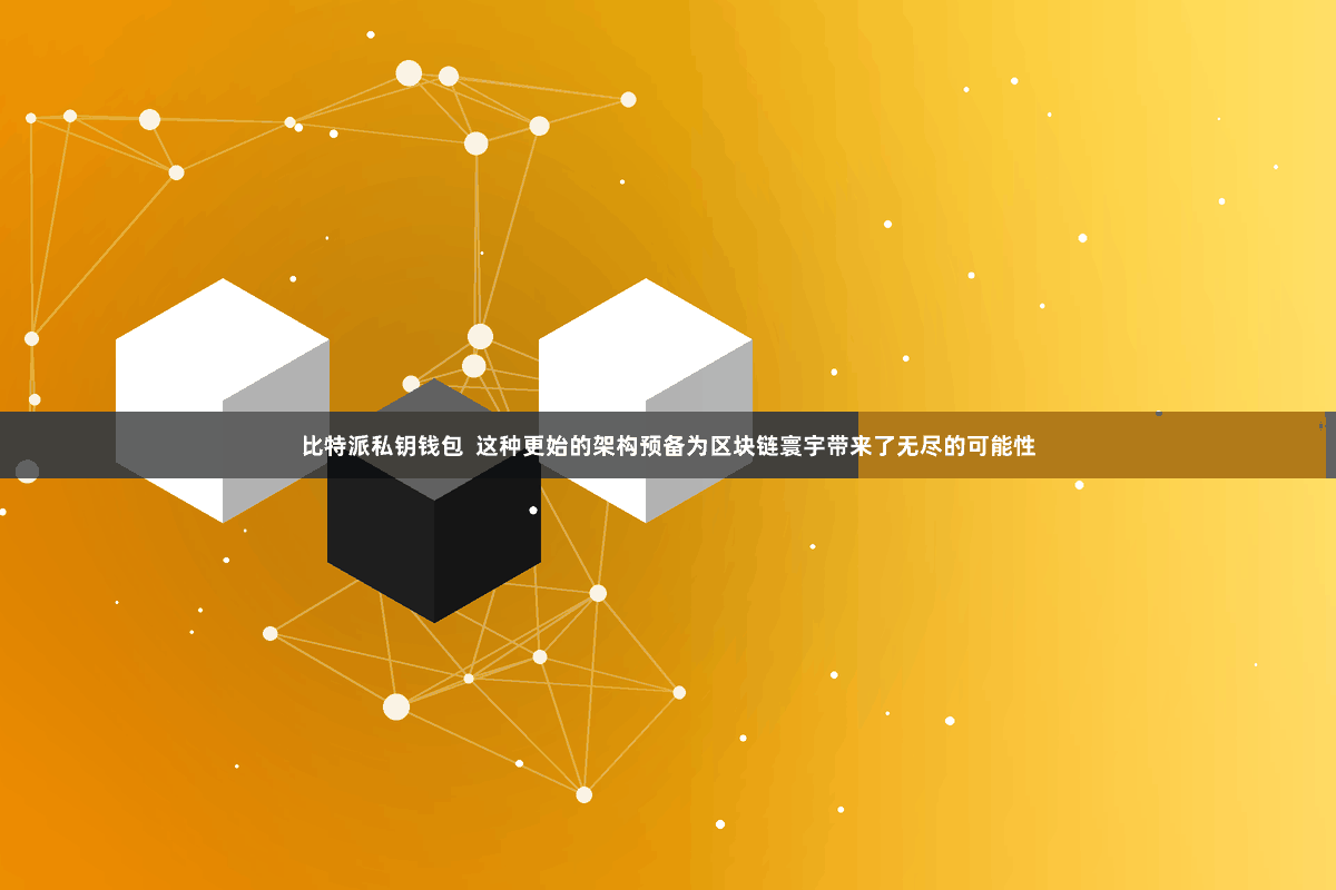 比特派私钥钱包  这种更始的架构预备为区块链寰宇带来了无尽的可能性